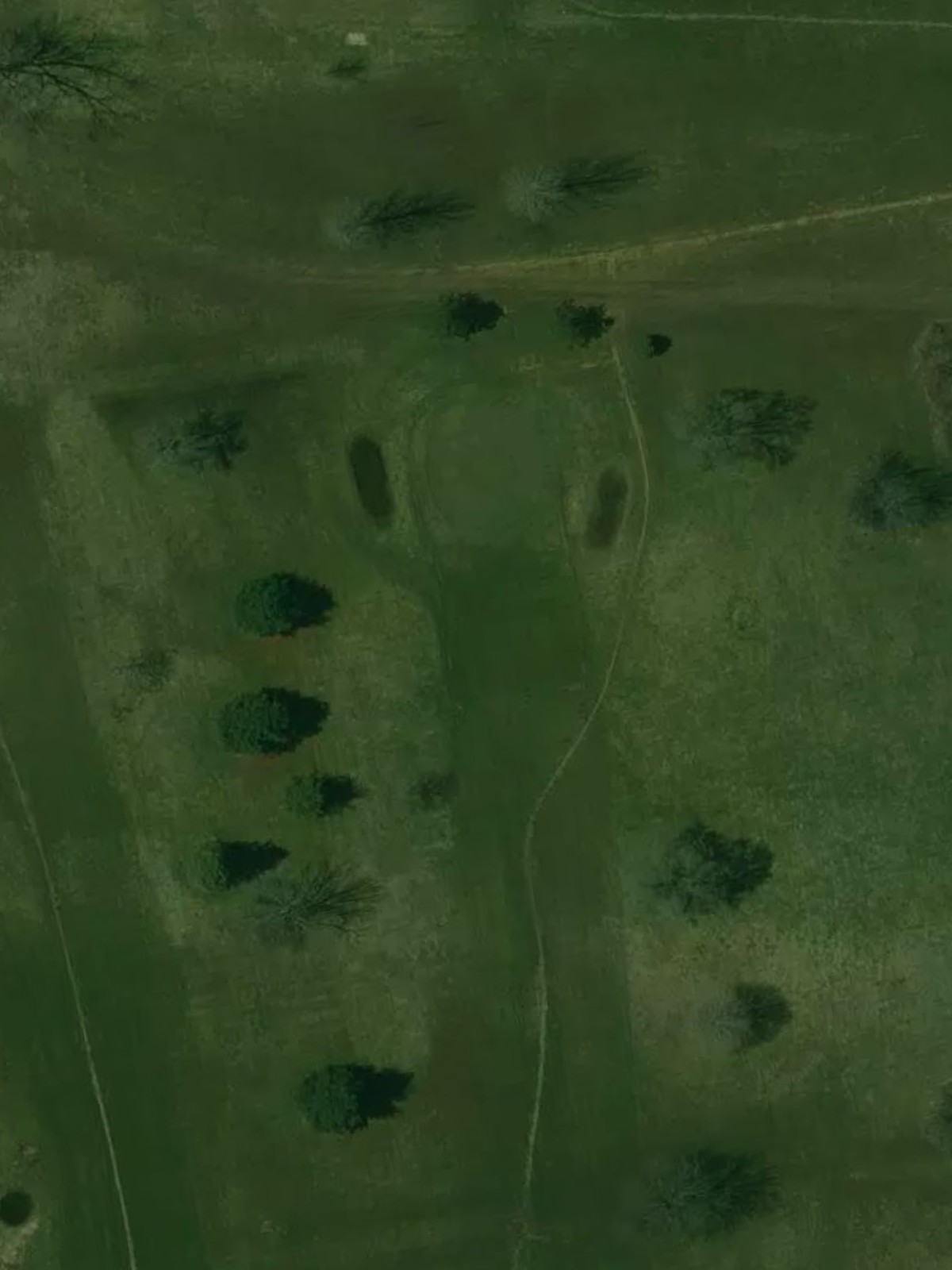 Hole 7 satellite